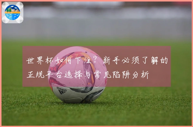 世界杯如何下注？新手必须了解的正规平台选择与常见陷阱分析