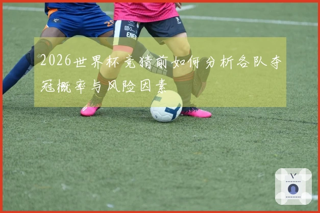 2026世界杯竞猜前如何分析各队夺冠概率与风险因素