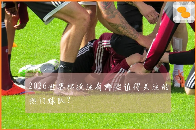 2026世界杯投注有哪些值得关注的热门球队？