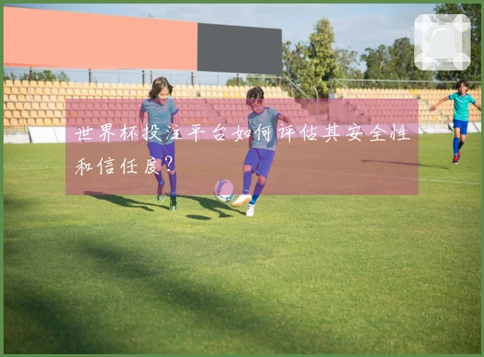 世界杯投注平台如何评估其安全性和信任度？