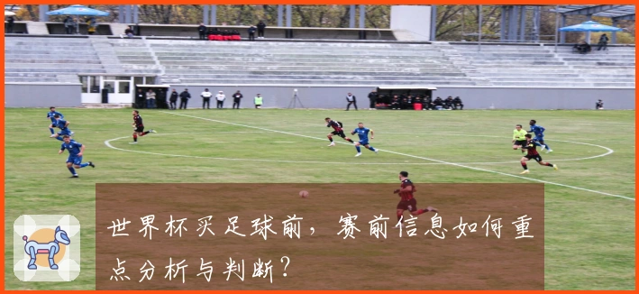 世界杯买足球前，赛前信息如何重点分析与判断？