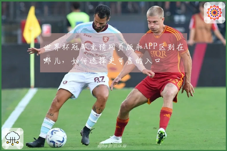 世界杯冠军竞猜网页版和APP区别在哪儿，如何选择更可靠的入口