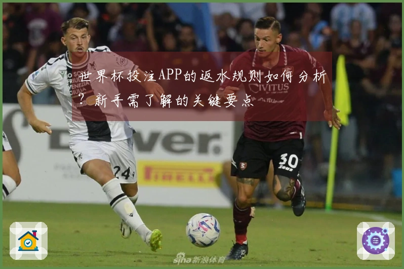 世界杯投注APP的返水规则如何分析？新手需了解的关键要点