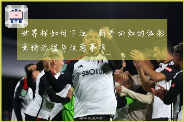世界杯如何下注？新手必知的体彩竞猜流程与注意事项