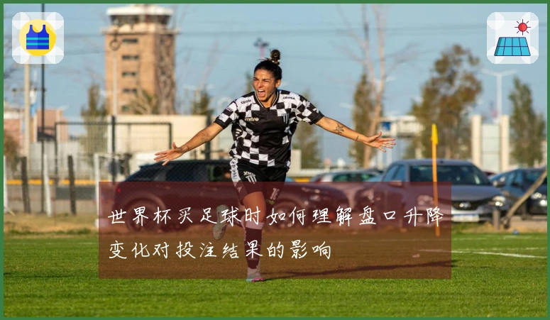 世界杯买足球时如何理解盘口升降变化对投注结果的影响