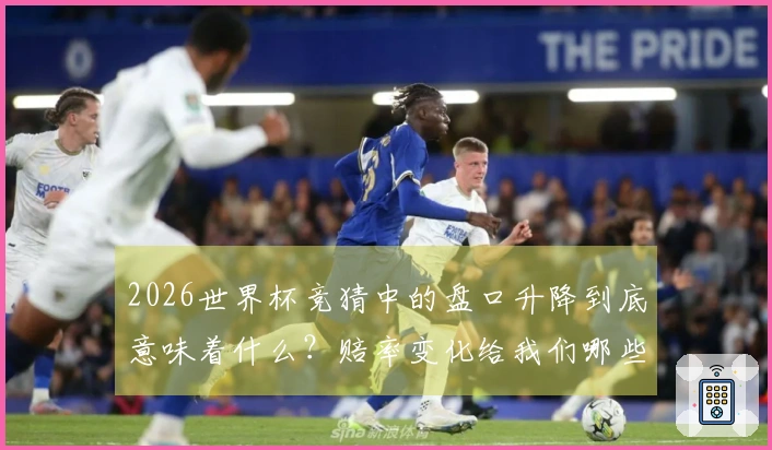 2026世界杯竞猜中的盘口升降到底意味着什么？赔率变化给我们哪些投注提示？