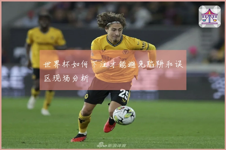 世界杯如何下注才能避免陷阱和误区现场分析