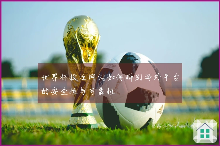 世界杯投注网站如何辨别海外平台的安全性与可靠性