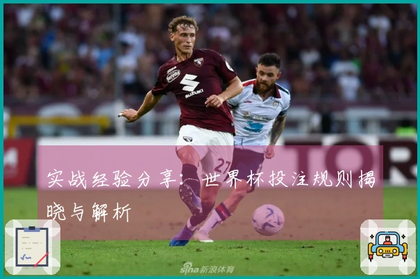 实战经验分享：世界杯投注规则揭晓与解析