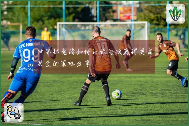 世界杯竞猜如何让你倍投赢得更高奖金的策略分享