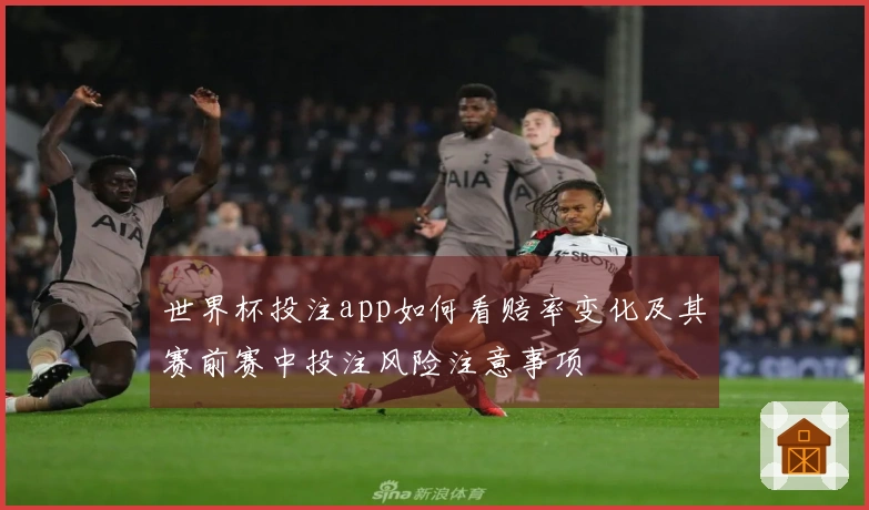 世界杯投注app如何看赔率变化及其赛前赛中投注风险注意事项