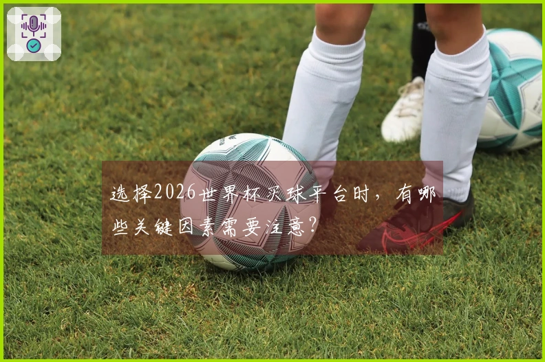选择2026世界杯买球平台时，有哪些关键因素需要注意？