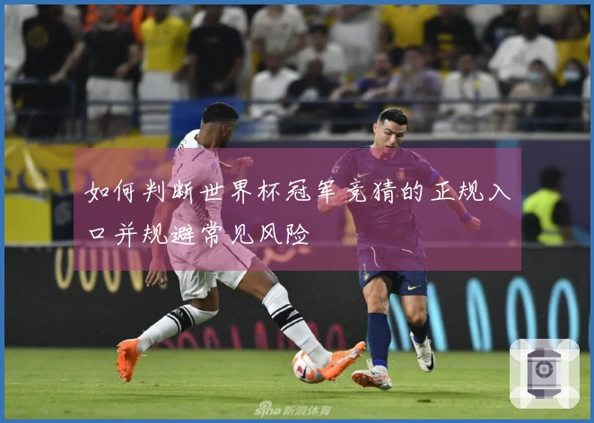如何判断世界杯冠军竞猜的正规入口并规避常见风险