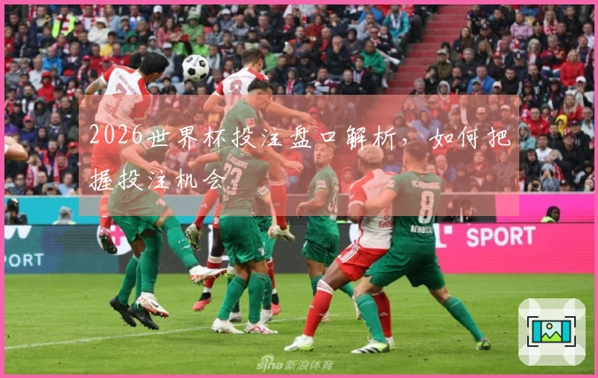 2026世界杯投注盘口解析，如何把握投注机会