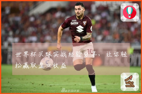 世界杯买球实战经验分享，让你轻松赢取盘口收益