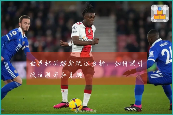 世界杯买球新玩法分析，如何提升投注胜率和乐趣