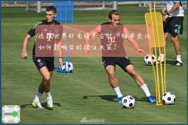 选择世界杯竞猜平台时，赔率变化如何影响你的投注决策？