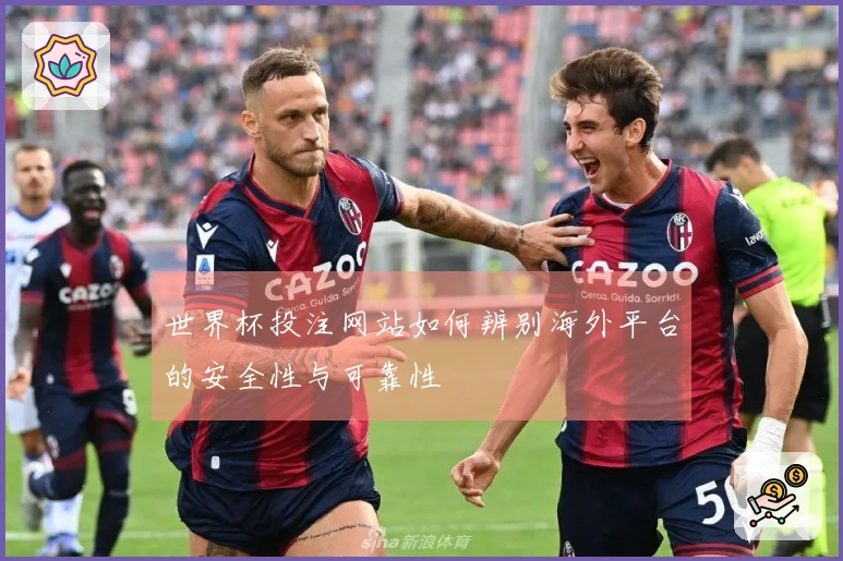 世界杯投注网站如何辨别海外平台的安全性与可靠性