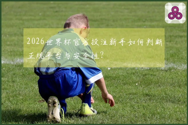2026世界杯官方投注新手如何判断正规平台与安全性？
