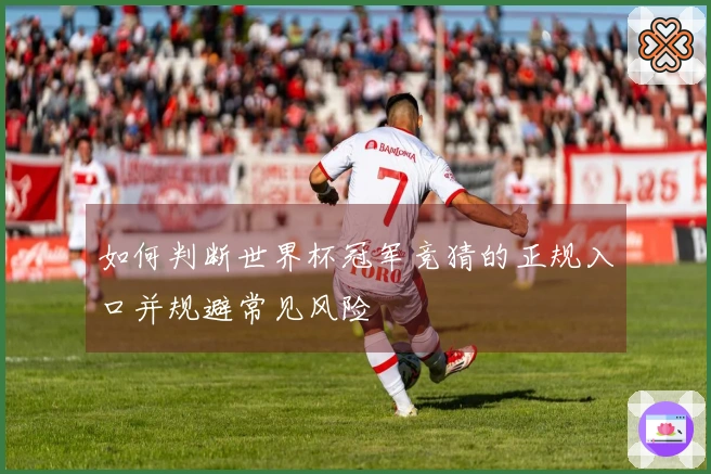 如何判断世界杯冠军竞猜的正规入口并规避常见风险