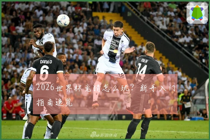 2026世界杯竞猜怎么玩？新手入门指南速览