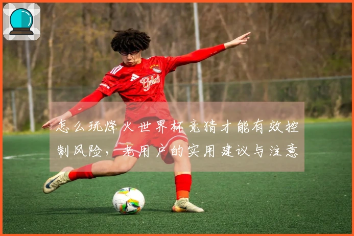 怎么玩烽火世界杯竞猜才能有效控制风险，老用户的实用建议与注意事项