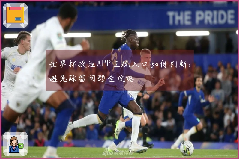 世界杯投注APP正规入口如何判断，避免踩雷问题全攻略