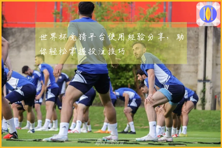 世界杯竞猜平台使用经验分享，助你轻松掌握投注技巧