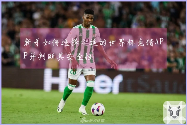新手如何选择合适的世界杯竞猜APP并判断其安全性