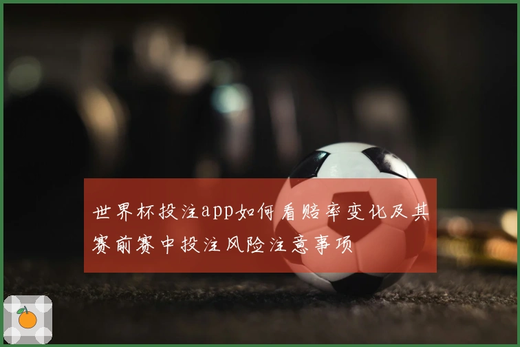 世界杯投注app如何看赔率变化及其赛前赛中投注风险注意事项
