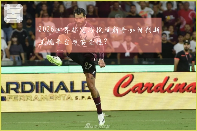 2026世界杯官方投注新手如何判断正规平台与安全性？