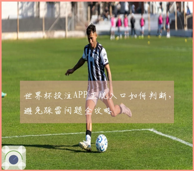 世界杯投注APP正规入口如何判断，避免踩雷问题全攻略