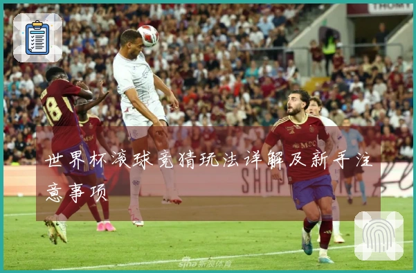 世界杯滚球竞猜玩法详解及新手注意事项
