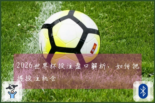 2026世界杯投注盘口解析，如何把握投注机会